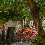 Villa Botanica - Lush Garden And Pool Oasis