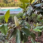 Botanica - Lush Garden And Pool Oasis