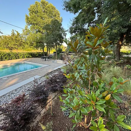 Villa Botanica - Lush Garden And Pool Oasis