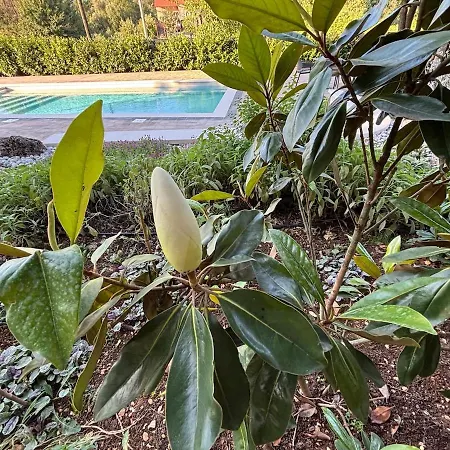 Botanica - Lush Garden And Pool Oasis